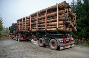 Ladung flexibel, Leistung konstant: Körner Holztransporte setzt auf LOGO 21 von DOLL