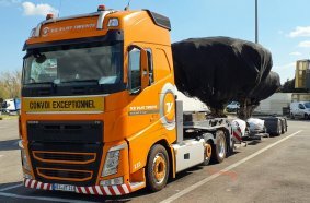Umsiedlung lebender Giganten