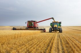 Topcon Agriculture verbessert  Arbeitsabläufe für landwirtschaftlische  Betriebe.