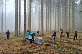 Naturnaher Waldumbau mit der Sä-Streifen-Fräse bei der Landesforst Mecklenburg Vorpommern