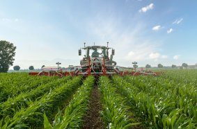 Die FLEXCARE V dient der mechanischen Beikrautregulierung zwischen den Reihen