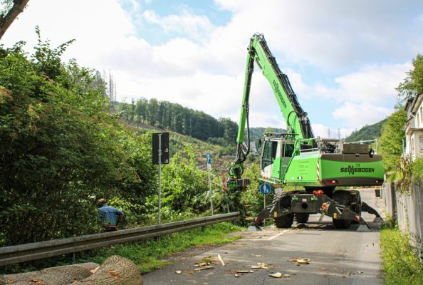 Der speziell für anspruchsvolle Baumarbeiten entwickelte Fällbagger meisterte den schwierigen Einsatz in Hanglage mühelos.