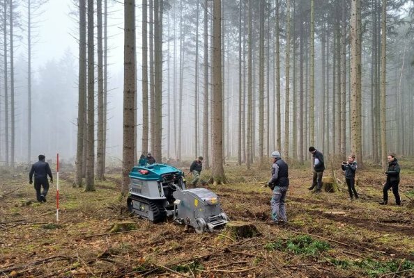 Naturnaher Waldumbau mit der Sä-Streifen-Fräse bei der Landesforst Mecklenburg Vorpommern
