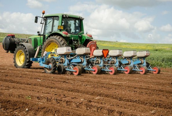 6 Row planting machine in action on the field