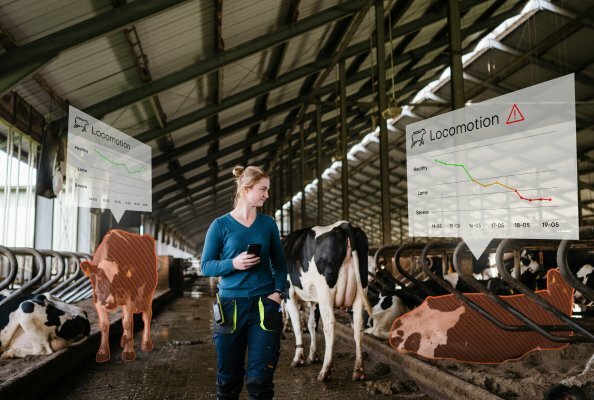 Nedap SmartSight