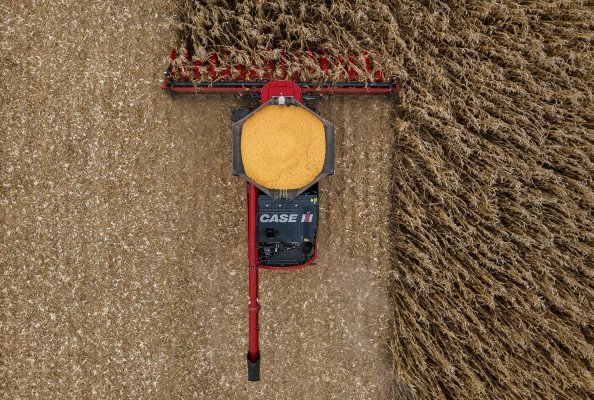 Neue Case IH Maispflücker optimieren Zuführung, Arbeitsgeschwindigkeit und Durchsatz