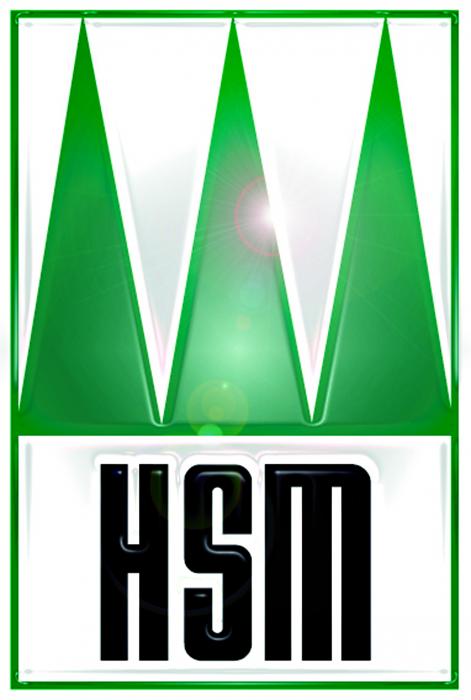 HSM Hohenloher Spezial-Maschinenbau